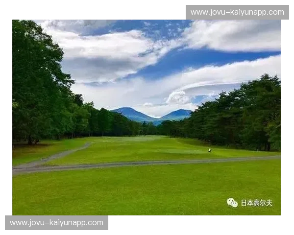 高尔夫分析：洞穿球场的智慧